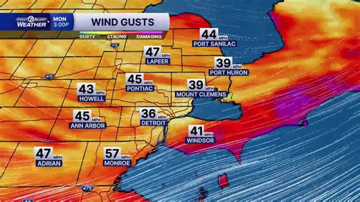 Wind gust for web