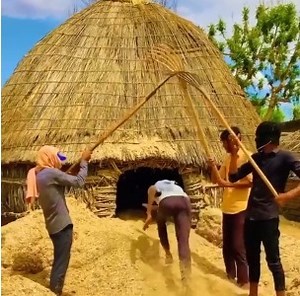 2.3M views · 294 shares | Best amazing working machines | Media 5 | Facebook