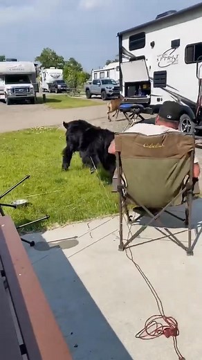 Newfoundland #power | Newfoundland