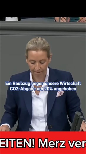 Steuererhöhungen: Ein Raubzug gegen unsere Wirtschaft? #shorts