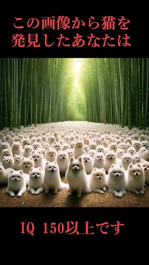 猫を見つける能力はIQ150以上？