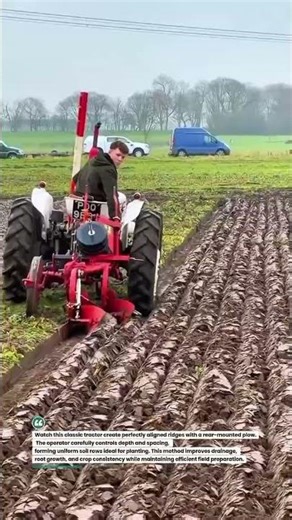 Precision Ridge Plowing with Classic Tractor #FarmingTech #Plowing #AgriWork