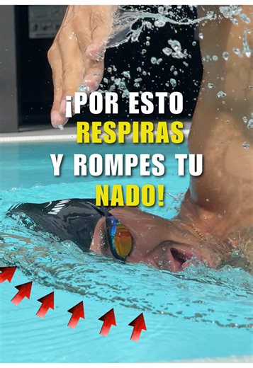 ❌Respirar en crol no es un movimiento del cuello ✅Es la consecuencia directa de cómo ruedas tu cuerpo en el agua Muchos nadadores sienten que al respirar “se desarma todo”: 🔻 Se hunden las piernas 🔻 Se pierde la alineación 🔻 Aparece la tensión en el cuello Y creen que el problema es la respiración… Pero no lo es. 👉 El problema está en el eje corporal y en el rolido. Cuando el cuerpo rota correctamente: ✔️ El hombro sale del agua ✔️ La cabeza acompaña al tronco (no se levanta) ✔️ El agua se a