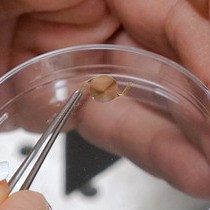 Video: Scanning Light Scattering Profiler SLPS Based Methodology to Quantitatively Evaluate Forward and Backward Light Scattering from Intraocular Lenses