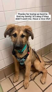 1.3K reactions · 486 comments | Letto is particularly excited about this song. “Meaning of Mine” with the rest of my debut album is officially out this Friday 凉 #dogs #rescue #countrymusic #transition #lovesong | Chase McDaniel | Facebook