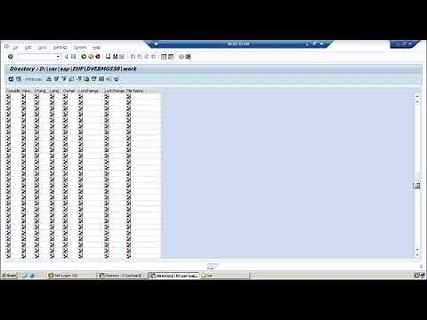 File system through AL11