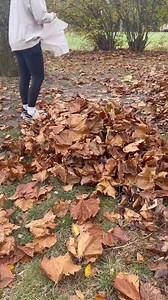 261K views · 196 reactions | If you hate raking leaves, watch this hack! #fallhacks #Leafremoval #cleaninghacks #homehacks | Homeaglow | Facebook