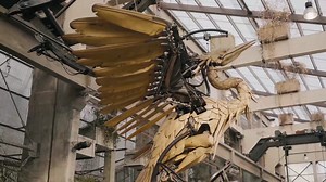 4.1K reactions · 686 shares | Partez à la rencontre des habitants de...