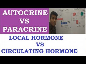 CIRCULATING & LOCAL HORMONE | WHAT IS PARACRINE & AUTOCRINE ? AUTOCRINE VS PARACRINE | ENDOCRINE
