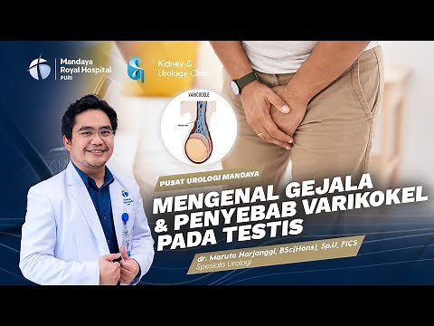 Ciri-Ciri & Penyebab Varikokel Pada Testis Pria | dr. Maruto Harjanggi, BSc(Horns), Sp.U, FICS