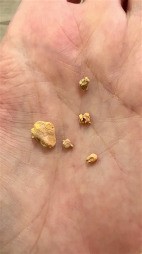Discovering Australian Gold Nuggets with Metal Detecting
