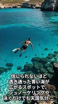 地中海の宝石…マルタの絶景とグルメが想像以上すぎた🇲🇹