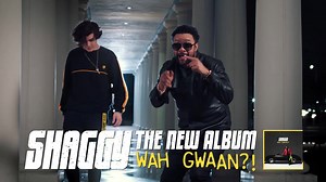 22K views · 223 reactions | Wah Gwaan?! The new album from Shaggy is Out Now | Shaggy | Facebook