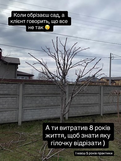 Вік живи - вік учись! #дія #черкаси #садівництво #обрізкасаду #сад #весна2024 #стрижкатуї