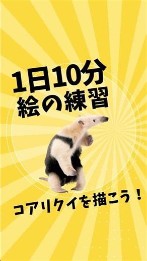 【1日10分】コアリクイを描いてみよう！右脳ドローイング