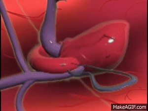 Female into Car TF Animation on Make a GIF