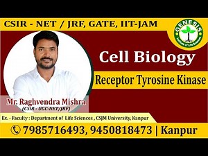 RAS-MAPK pathway| Ras-Raf-MEK-ERK pathway #CSIR NET life science lectures #GATE, #DBT, #ICMR