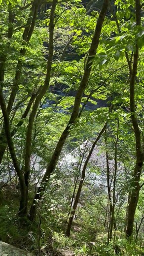 ユーシン渓谷（玄倉治山運搬路） 大きな堰堤の滝