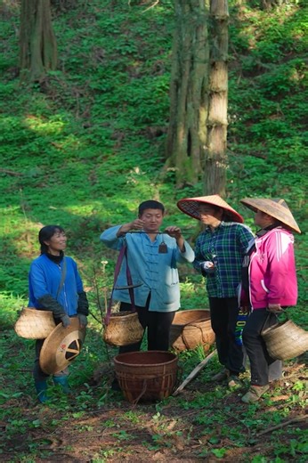 Guzhang Maojian originated in the Eastern Han Dynasty, and its tea buds were listed as tribute in the Tang Dynasty. | Sumon block