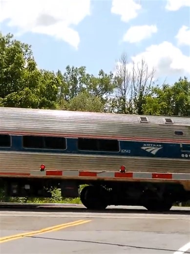 Amtrak Maple Leaf #Train While I was railfanning at this grade crossing on Leach Road in Lyons, New York, I came up with the idea to build a rail park similar to that of the Macungie Train Watching Platform in Macungie, Pennsylvania. The park should have all of the amenities that a typical public park has, including public restrooms and a picnic pavilion, along with some accents such as a flower garden with a fountain and a community bulletin board. I wrote a petition to make this dream a realit