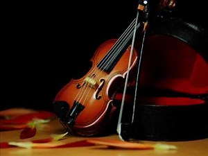 Franz Schubert ~ Serenade - Violin & Piano