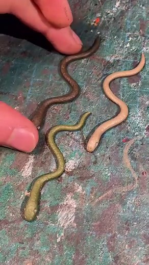 61K views · 188 reactions | How to make miniature snakes  #howto #miniaturetutorial #tutorial #snakes #snakesofinstagram #realistic #handmade #diy | Miniature Model Making | Facebook