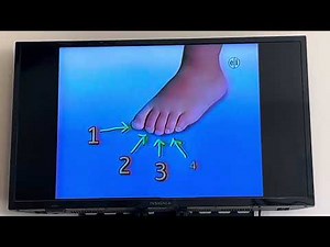 Sesame Street - Counting 5 Toes