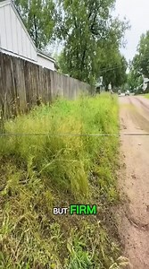 The Old Man’s Neighbor Were Annoyed by My Help #lawncare #satisfying #cleaning | Mehboob