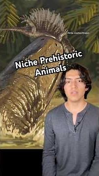 Niche Paleozoic Animals