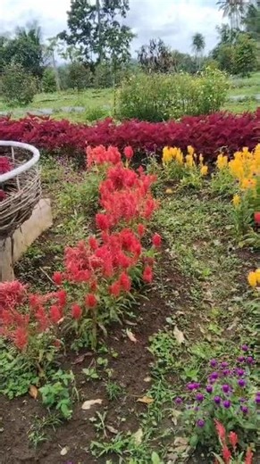 ✨ Explore B Three Garden Banyuwangi 🌿 | Hidden Paradise | Indonesia #sorts