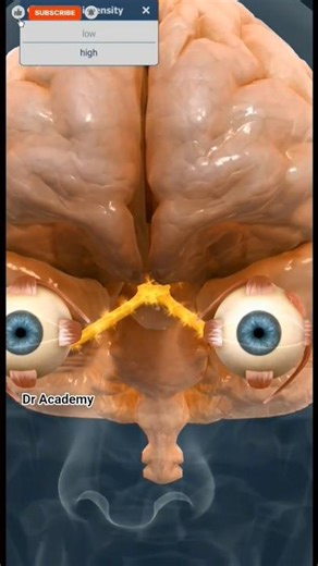 Eyes anatomy 😊 #medical #healthcare #3danimation #eyes #shorts