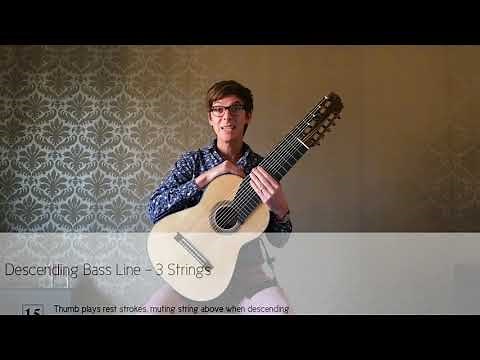 Altgitarr - The 11-String Alto Guitar Companion