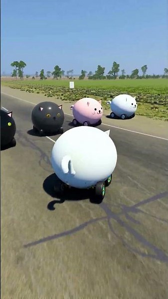 🇺🇸Hey America! Roll With Our Cute Cat Cars Saying "Hello" 😻🐈😺 Meow!