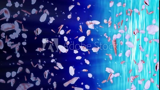 Flying many sea shells in blue water. Collection of realistic shellfish. Tropical underwater. 3D loop animation of shells rotating.