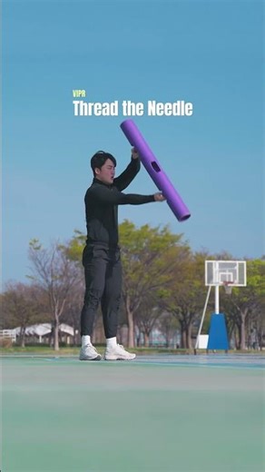ViPR Thread the Needle (바이퍼 스레드 더 니들)
