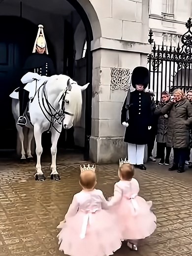 Double the Love: Royal Horse Kneels for a Group Hug