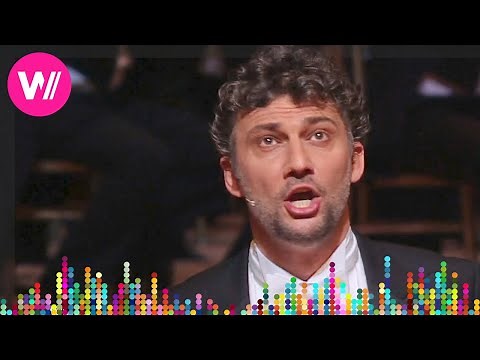Jonas Kaufmann: Franz Lehár - Dein ist mein ganzes Herz | Opernball 2017