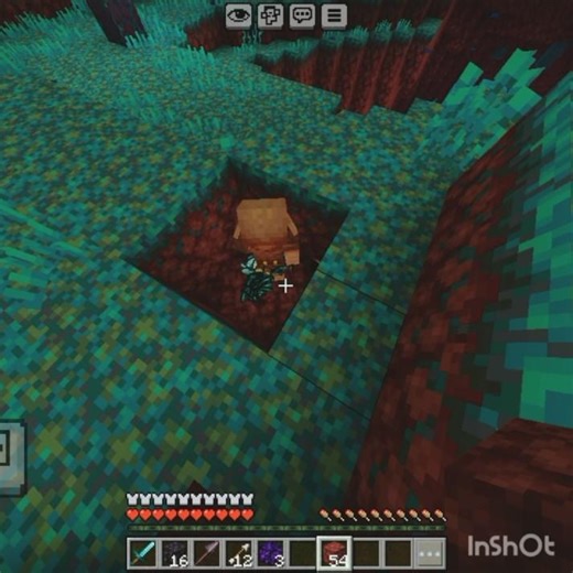 Wait What (Minecraft)