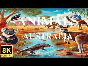 Australia's Most Incredible Wild Animals