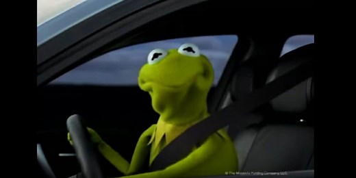 The Best Kermit the Frog memes on the internet