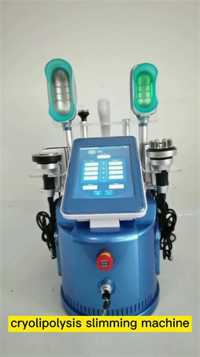 Professional Mini Portable Cryolipolyse Criolipolisis Cool Cryolipolysis 360 Multifunctional Sculpting Machine