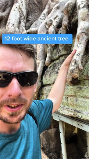 Mr.mountainbeast on TikTok