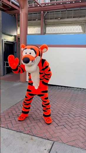 Tigger from Winnie the Pooh - Meet & Greet in Disney California Adventure Park