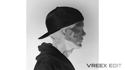 【搬运】Avicii - The Days (Avicii by Avicii) [VREEX MIX]