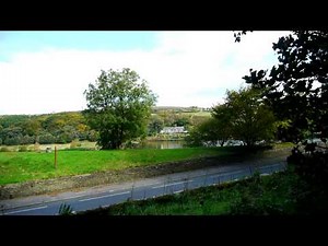 Panasonic FZ100, GH1 and TZ7 video comparison test