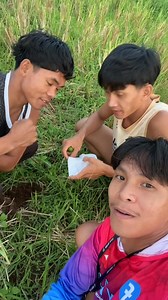 Money hunt | Team Dora