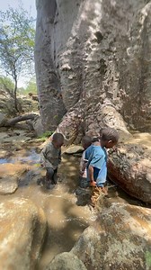 Kids enjoying under the big baobab’s tree | Meta Vevo