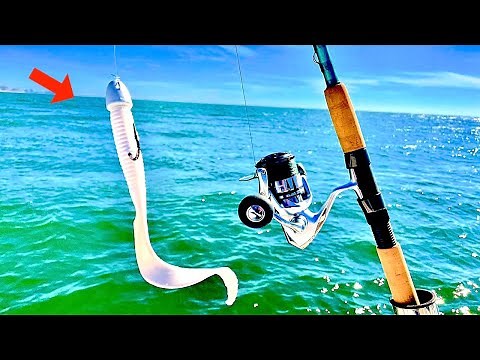 Fishing this HUGE! Saltwater Jig for my Dinner [Catch, Clean, Cook]