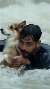 Con chó đi trôi trong dòng lũ, may mắn được người đàn ông cứu giúp lên bờ. #concho #conmeo #shorts