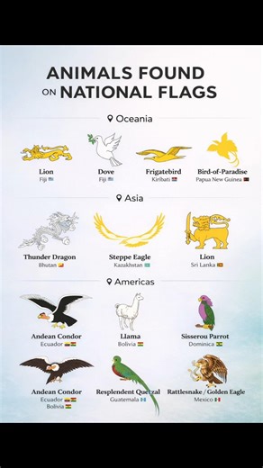 Animals Found on National Flags 🌍
